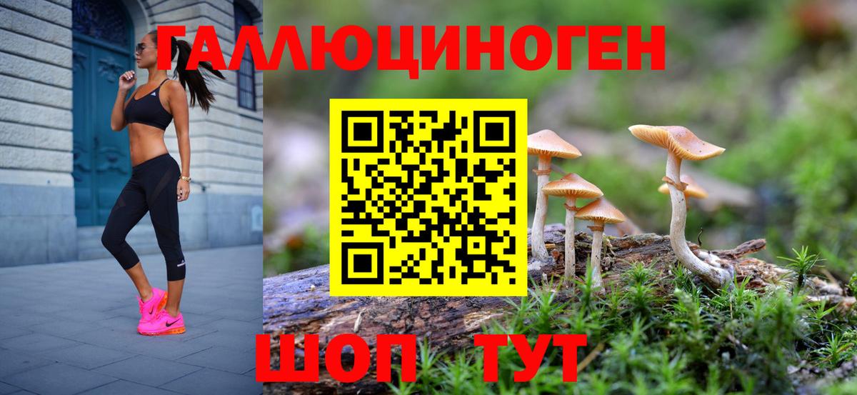 Галлюциногенные грибы прущие грибы  Вход с VPN  Фурманов 